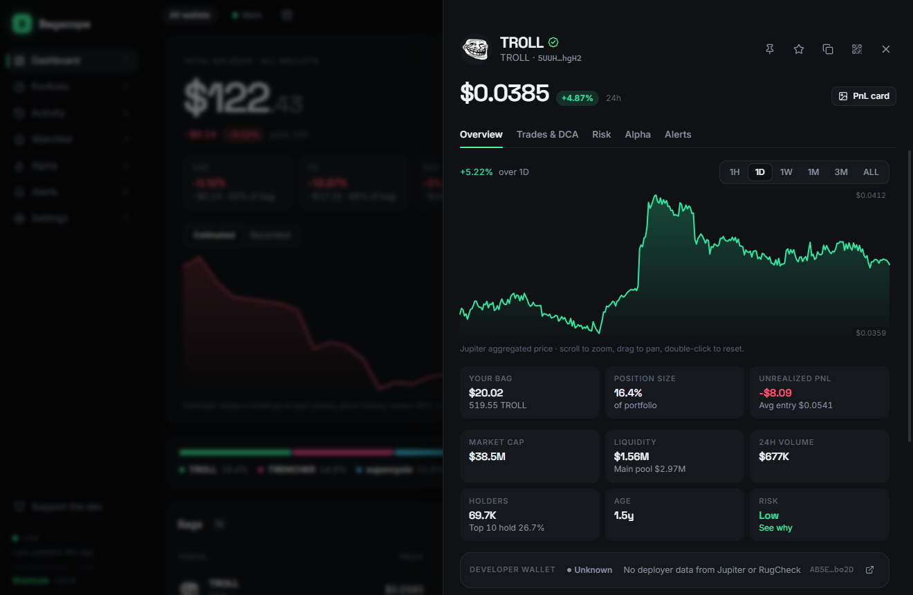 Token detail panel with price chart, your position, market cap, liquidity, holders and developer wallet status